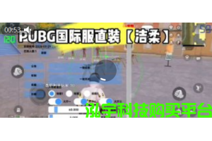 💥2.15 PUBG直装大揭秘！高光绘制+物资雷达+自瞄神器，稳定连打超神操作😎_